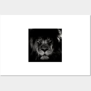 African Lion Portrait Posters and Art